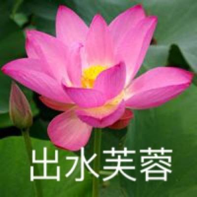 破天无双手游官方版下载